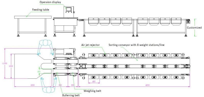 Conveyor Belt Weight Sorter/Checkweigher Machine