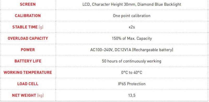 Platform Scale 60kg with Weighing and Counting and Accumulating Functions