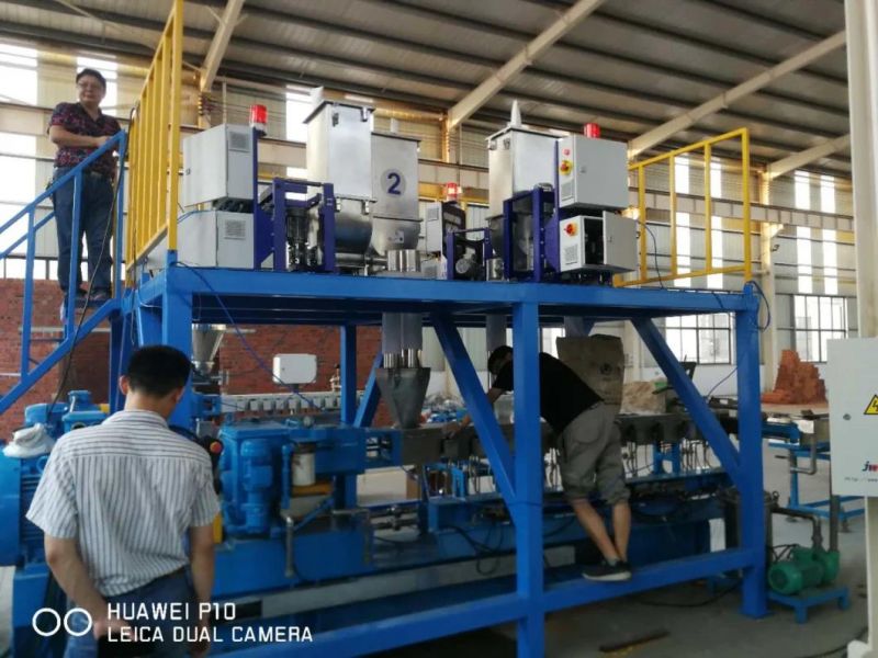 Twin Screw Gravimetric Weight Loss in Weight Feeder for Feeding ND Batching