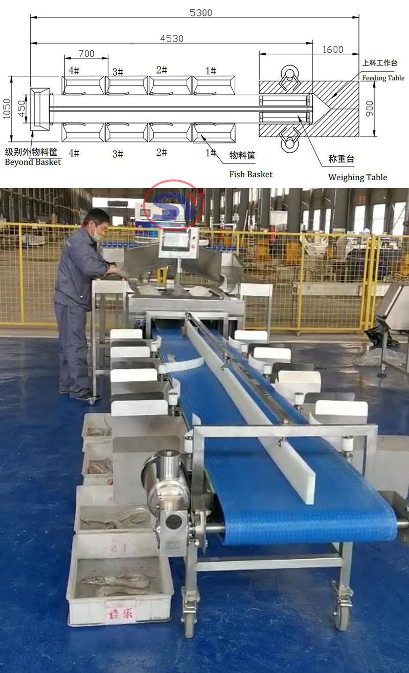High Speed Weighing Conveyor Scale Weight Checker for Aquatic Industry