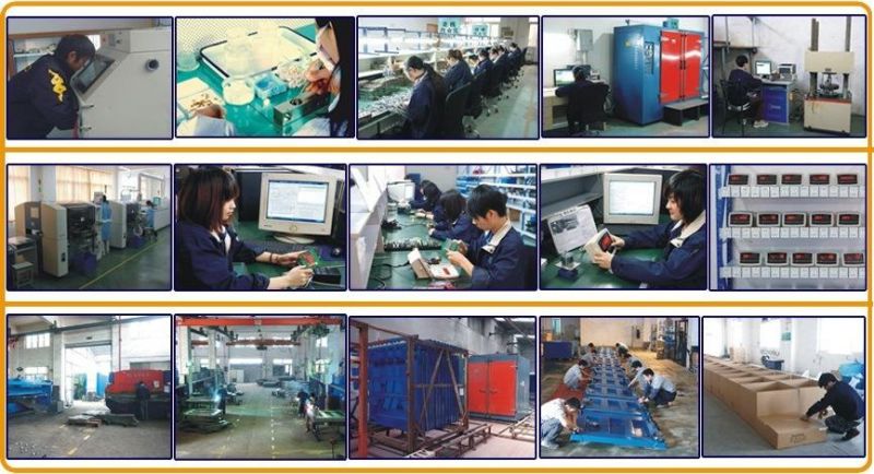 Overload Protection 10t LED/LCD Display Livestock Scale