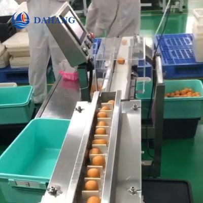 Automatic Industry Products Conveyor Checkweigher Machine