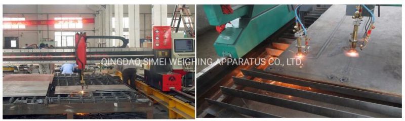 Floor & Platform Scales 1-3tons China Weighing Solution with Digital Display