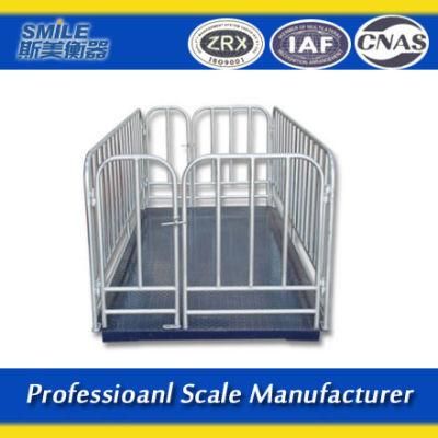 Animal Scale for Farmer Field Small-Scale Livestock Producers