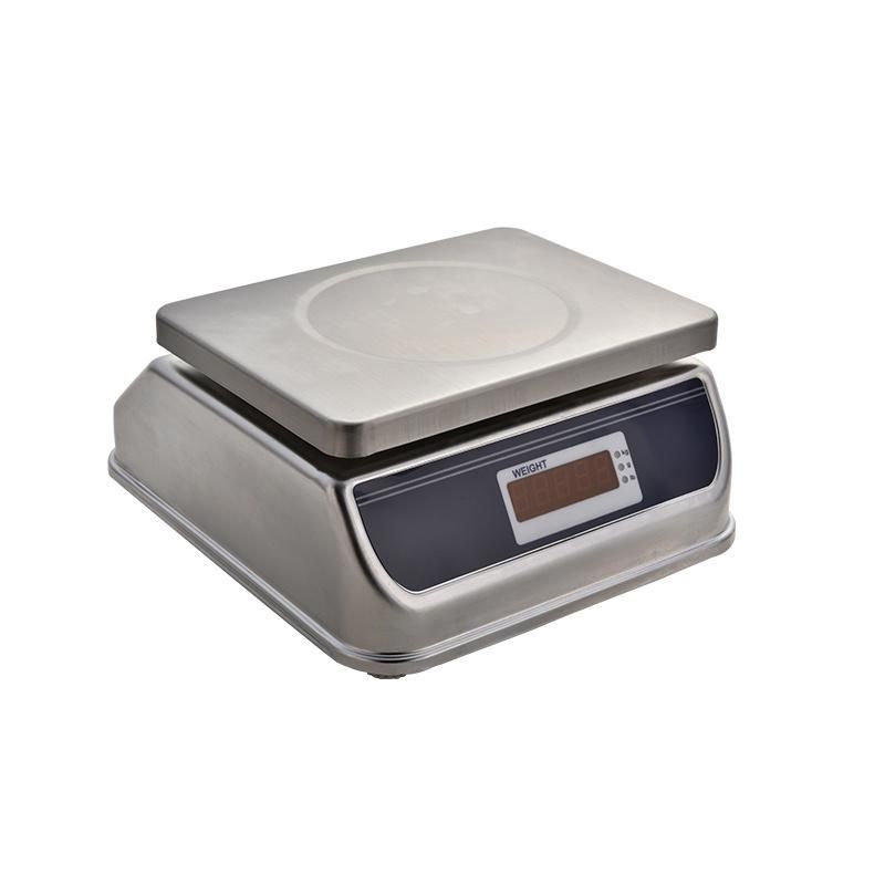 Digital Stainless Portable Weighing Scale