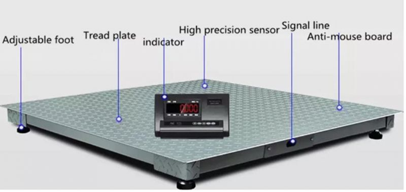 0.6*0.9 M 304 Stainless Steel Platform Scale Digital Floor Scale with Slope