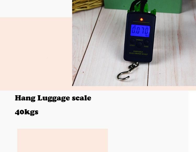 Portable Mini Hang Luggage Scale 40kgs with Hook, Blue Light