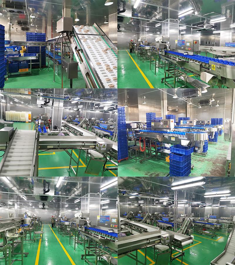 Multi-Level Seafood Sea Cucumber Weight Size Grading Classify Machine for Aquatic Industry