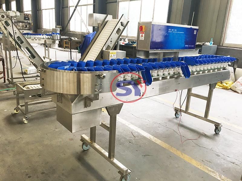 Online Weight Sorter Scales Dynamic Weighing Equipment for Sorting Cordyceps Sinensis