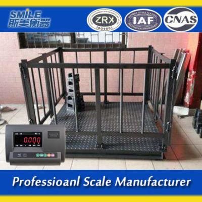Livestock Cattle Scale Animal Weigh Scale for Pig