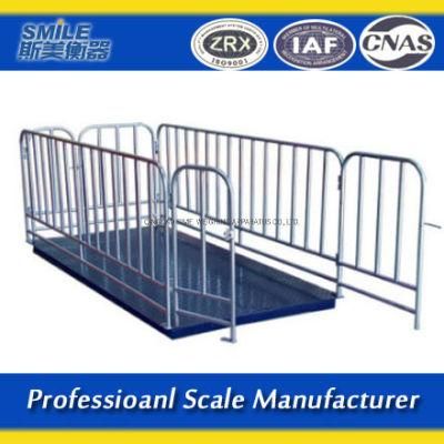 China Manufacturer Fence Electronic Animal Weighing&#160; Livestock Weights