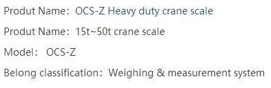 50t LED Heavy Duty Ocs Crane Scale