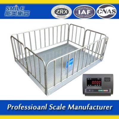1.2*1.2m Scale for Pig Livestock Scale for Cattle Cow Weight Scale