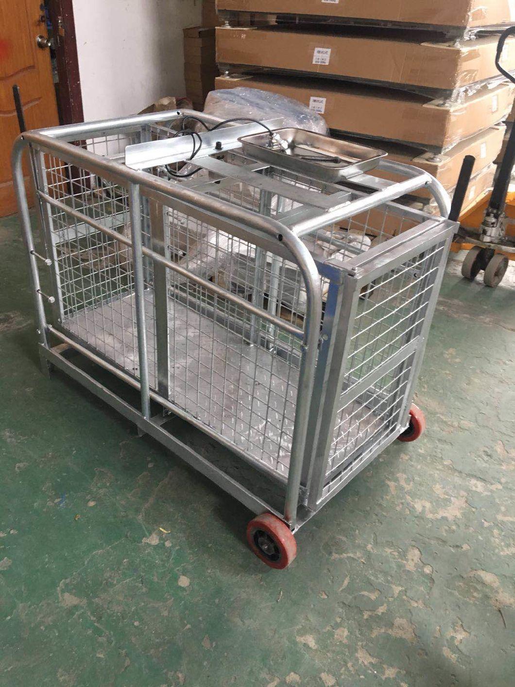 Hot Galvanized Animal Scale Perfect to Weigh Sheep and Pig