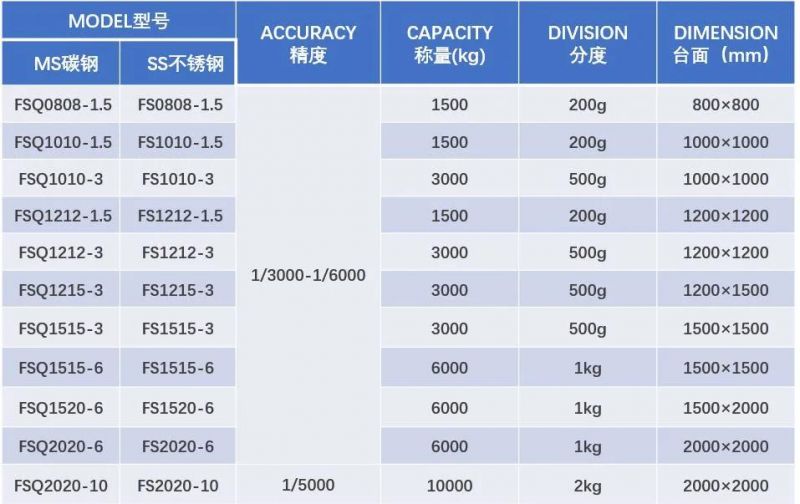 2022 New Design Q235 Mild Steel Floor Scale