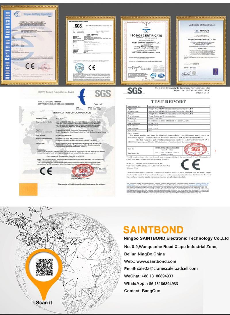 Wireless Industrial Electronic Crane Scale