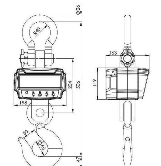Electronic Look Directly at The Electronic Crane Scale
