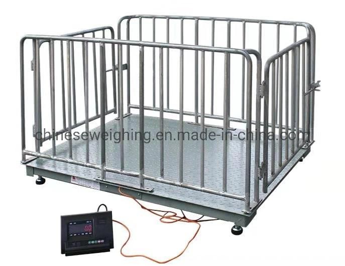 Digital Flexible Livestock Weighing Scale