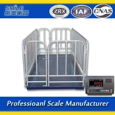 1.0X1.0m Factory Price Animal Scales Livestock Supplier Sheep and Goat Weighing Cattle Scales