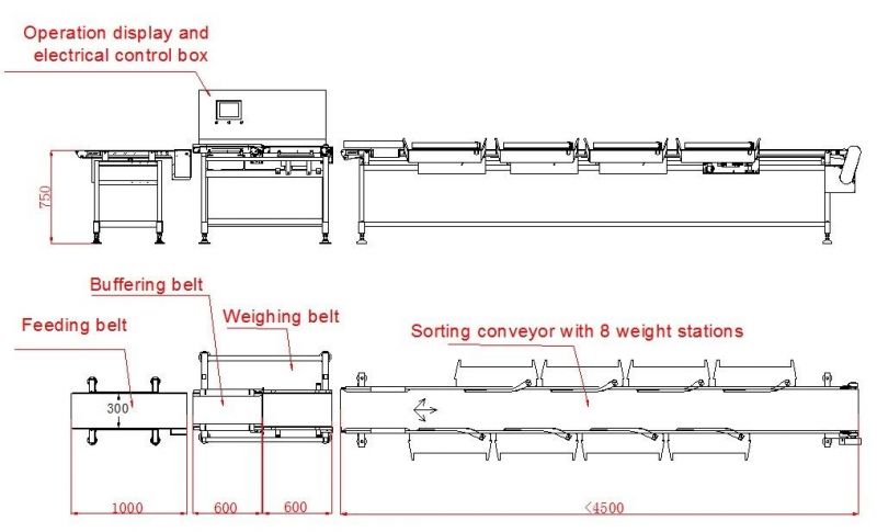 Export to South America Weight Sorting Machine for Whole Chickens & Griller & Carcass