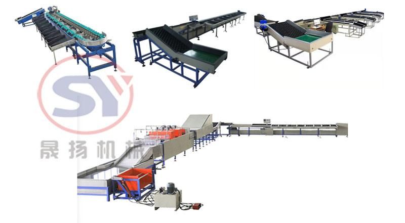 Tuna Fish Yellow Croaker Portunid Processing Machine Automatic Weight Grader Round Separator