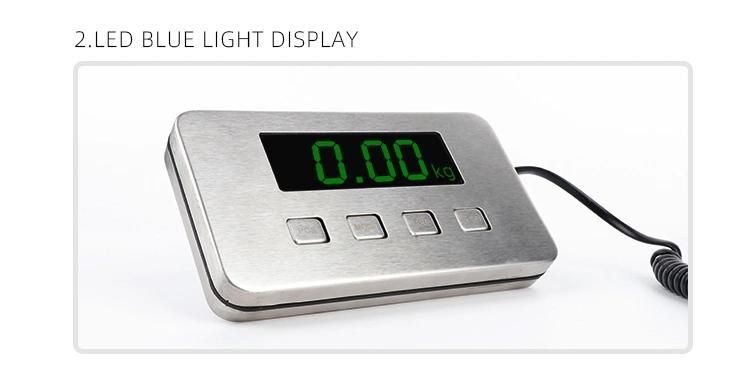 China Factory LCD Display Weighing Pet Postal Scale