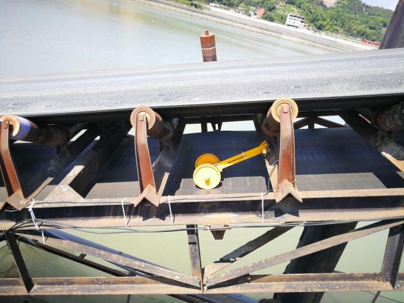 Electronic Belt Conveyor Scale Weigher