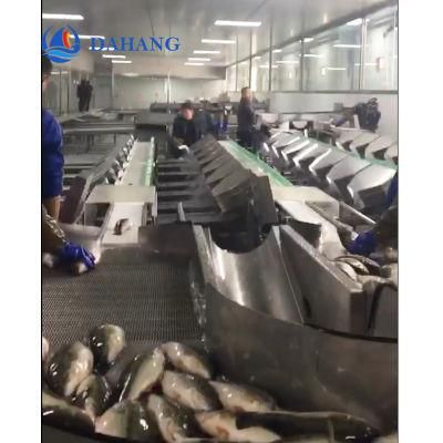 Online Weight Sorting Machine for Fish Grading