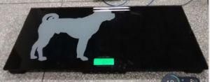 Made in China 28mm LCD Height Animal Pet Scales Fcw-G