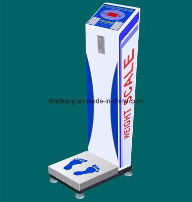 Coin Function Weight Balance Scale