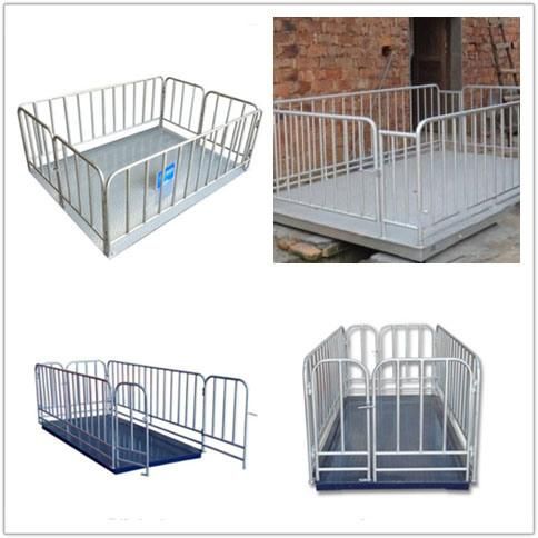 Livestock Platform Scales for Cattle Weighing Animals Cage Cheap