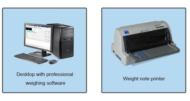 30-300t Digital Scale/Scale/Electronic Scales/Digital Weighing Scale