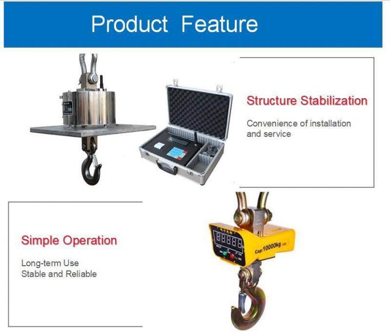 China Digital Crane Scales 1-30t with China Brand Quality