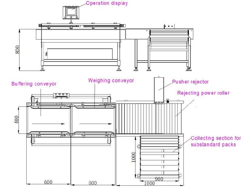 Large Range Checkweigher with Push Rod Device
