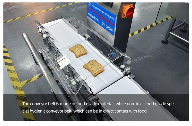High Speed Waterproof Conveyor Check Weigher Machine for Food