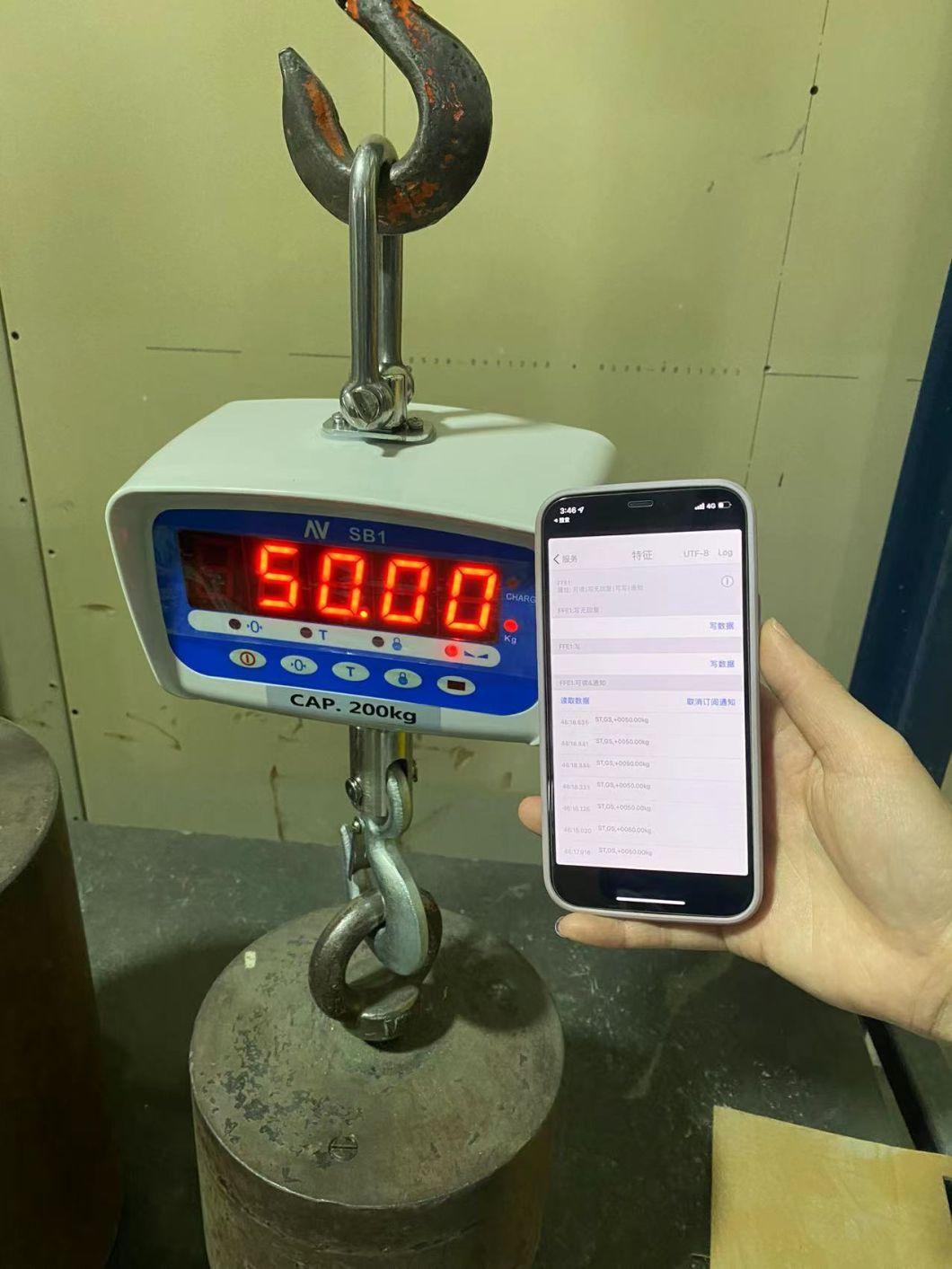 EU-Approved Digital Scale Hot Sale Crane Scale