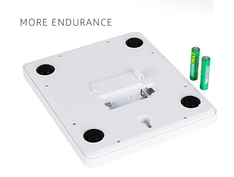 Newest Pet Scale with Tray New Design OEM ODM 10000g 1g