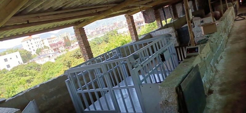 High Accuracy Livestock Cattle Weighing Scale