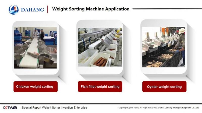 Best-Selling Seafood Weight Sorter Machine