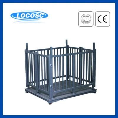 Carbon Steel Livestock Cage Digital Weighing Scale for Animals on a Farm