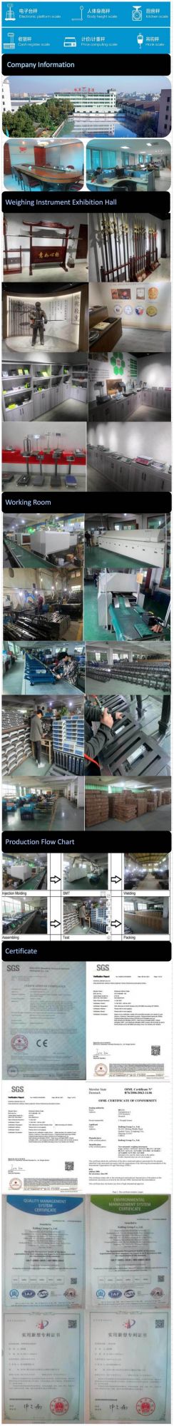 Professional Digital Electronic Weighing Scale Yongkang Factory
