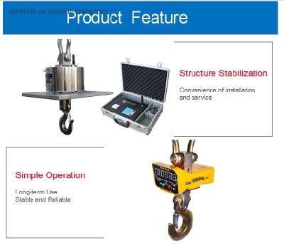 10t Portable Remote Controling Industrial Electronic Crane Scales and Dynamometers