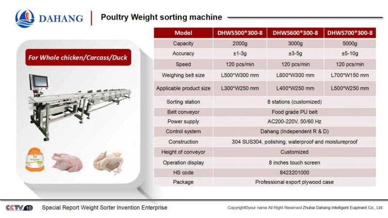 Chickens Weight Sorting and Grading Machine
