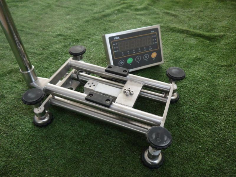 Trolley Weighing Scale OEM Capabilities Scale Table Top Scale