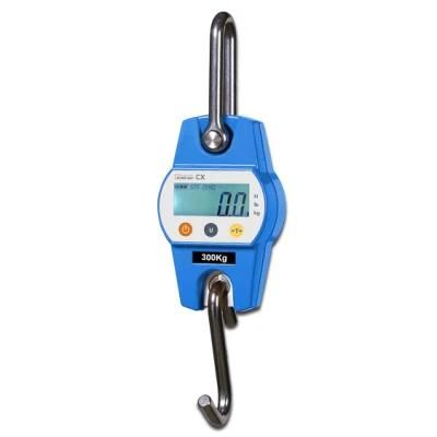 Portable Mini Electric Hanging Crane Weighing Scale 300kg
