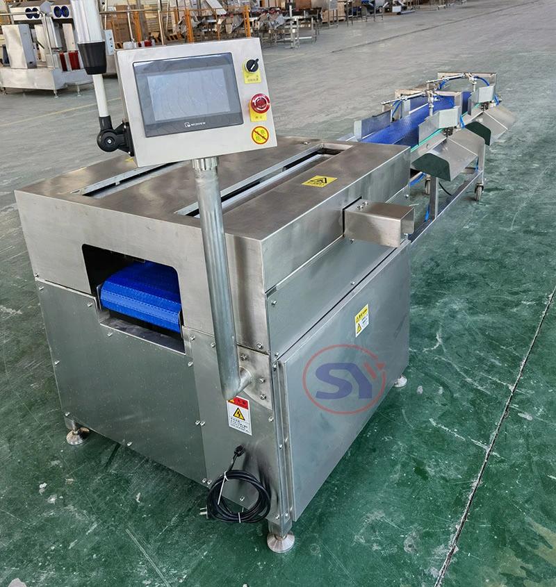 Weight Sorting Conveyor Machine for Whole Fish/Chicken