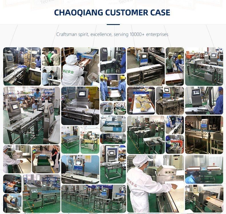 Hot-Selling Online Food Packaging Automatic High Precision Checkweigher