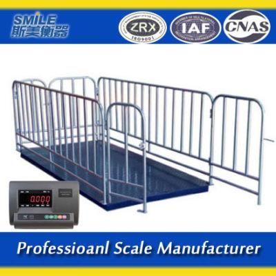 Heavy Duty Platform Scale Slope Capacity 1ton, Livestock Scale Platform, Platform Scale 2000kg