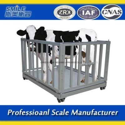 Electronic Animal Big Livestock Platform Scales for Medication