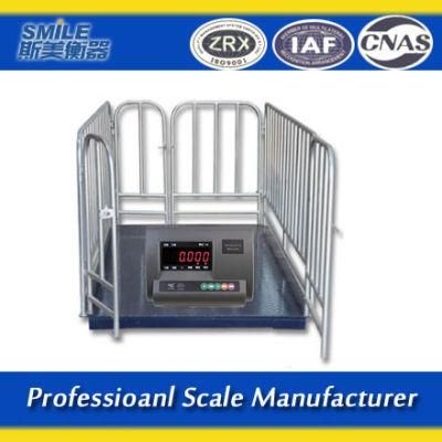 Electronic Cattle Weighing Scale 2000kg Livestock Animal Scale